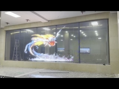 Layar transparan fleksibel -Kasus proyek